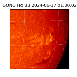 gong - 2024-06-17T01:00:02