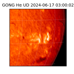 gong - 2024-06-17T03:00:02