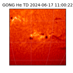 gong - 2024-06-17T11:00:22