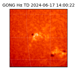 gong - 2024-06-17T14:00:22