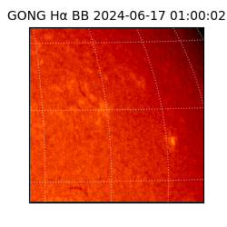 gong - 2024-06-17T01:00:02