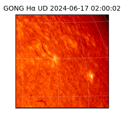 gong - 2024-06-17T02:00:02