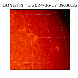 gong - 2024-06-17T09:00:22