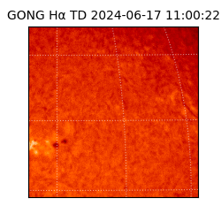 gong - 2024-06-17T11:00:22