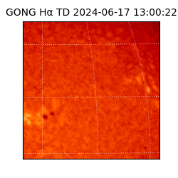 gong - 2024-06-17T13:00:22