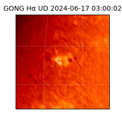 gong - 2024-06-17T03:00:02