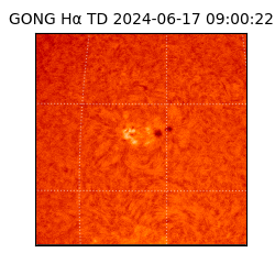 gong - 2024-06-17T09:00:22