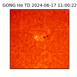 gong - 2024-06-17T11:00:22