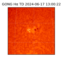 gong - 2024-06-17T13:00:22