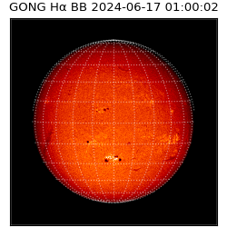 gong - 2024-06-17T01:00:02