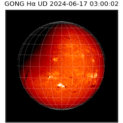 gong - 2024-06-17T03:00:02