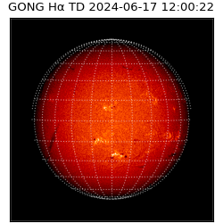 gong - 2024-06-17T12:00:22