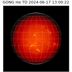 gong - 2024-06-17T13:00:22