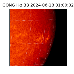 gong - 2024-06-18T01:00:02
