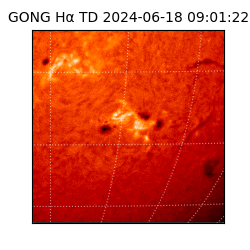 gong - 2024-06-18T09:01:22