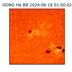 gong - 2024-06-18T01:00:02