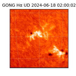gong - 2024-06-18T02:00:02