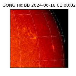 gong - 2024-06-18T01:00:02