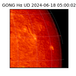 gong - 2024-06-18T05:00:02