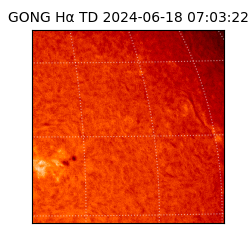 gong - 2024-06-18T07:03:22