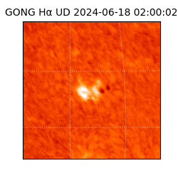 gong - 2024-06-18T02:00:02