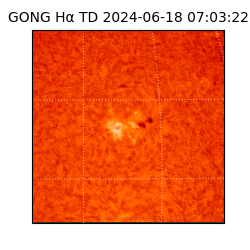 gong - 2024-06-18T07:03:22