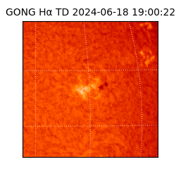 gong - 2024-06-18T19:00:22