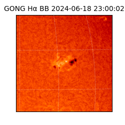 gong - 2024-06-18T23:00:02