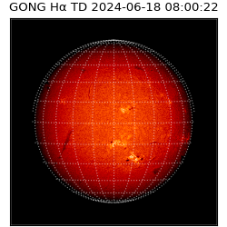 gong - 2024-06-18T08:00:22