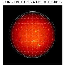 gong - 2024-06-18T10:00:22