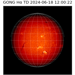 gong - 2024-06-18T12:00:22