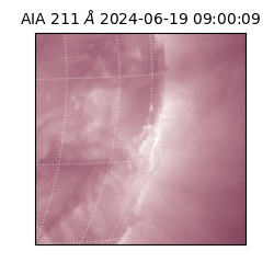 saia - 2024-06-19T09:00:09.626000