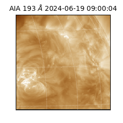 saia - 2024-06-19T09:00:04.843000