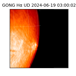 gong - 2024-06-19T03:00:02