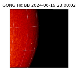 gong - 2024-06-19T23:00:02