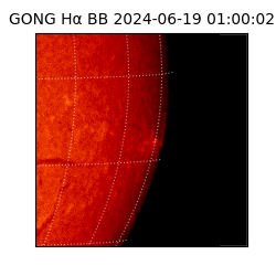 gong - 2024-06-19T01:00:02