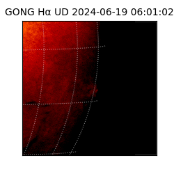 gong - 2024-06-19T06:01:02