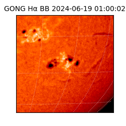 gong - 2024-06-19T01:00:02