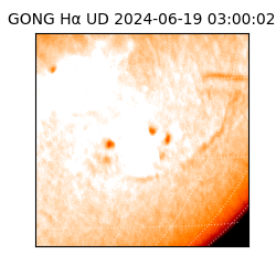 gong - 2024-06-19T03:00:02
