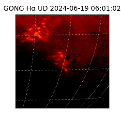 gong - 2024-06-19T06:01:02