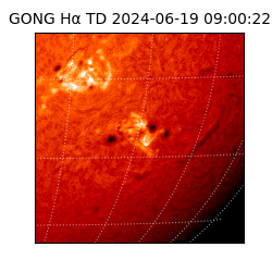 gong - 2024-06-19T09:00:22