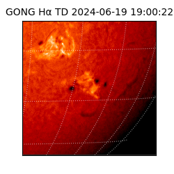 gong - 2024-06-19T19:00:22