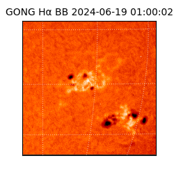 gong - 2024-06-19T01:00:02