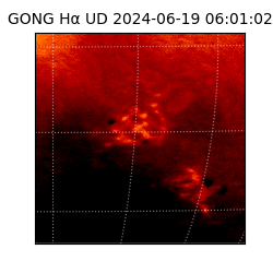 gong - 2024-06-19T06:01:02