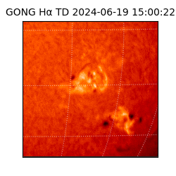 gong - 2024-06-19T15:00:22