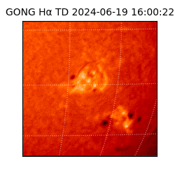 gong - 2024-06-19T16:00:22