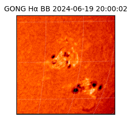 gong - 2024-06-19T20:00:02