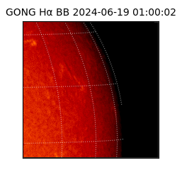 gong - 2024-06-19T01:00:02