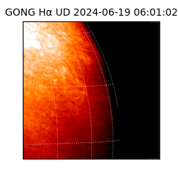 gong - 2024-06-19T06:01:02