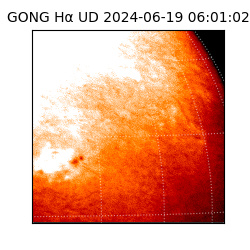 gong - 2024-06-19T06:01:02